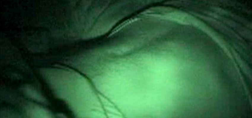 Sleeping Men